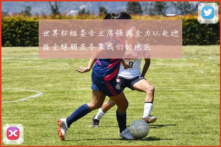 世界杯组委会主席强调全力以赴迎接全球朋友齐聚我们的地区