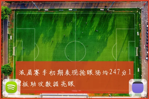 浓眉赛季初期表现抢眼场均247分12板助攻数据亮眼
