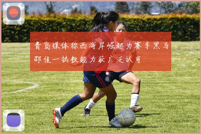 青岛媒体称西海岸崛起为赛季黑马邵佳一执教能力获广泛认可