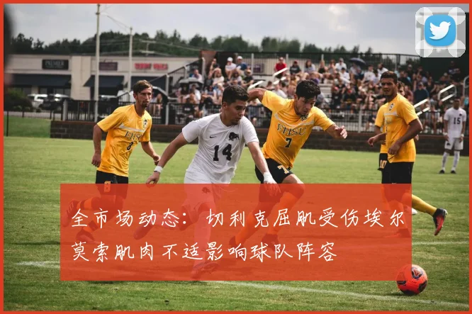 全市场动态：切利克屈肌受伤埃尔莫索肌肉不适影响球队阵容