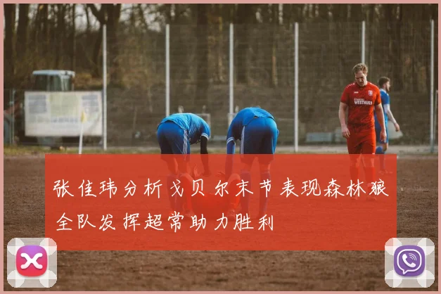 张佳玮分析戈贝尔末节表现森林狼全队发挥超常助力胜利