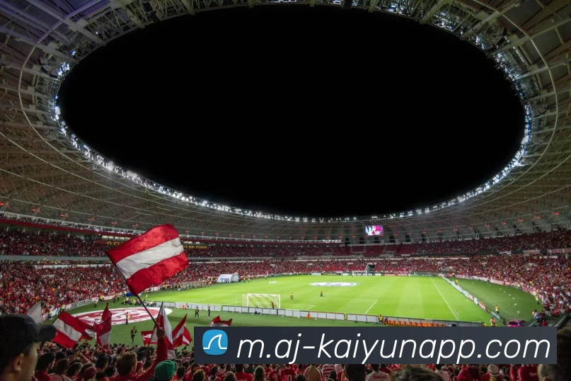 开云体育服务体系